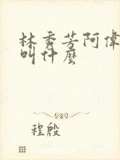 林秀芳阿伟小说叫什么