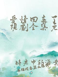 爱情回来了 电视剧全集免费观看