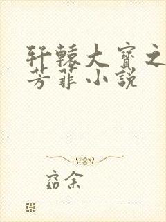 轩辕大宝之雅琴芳菲小说
