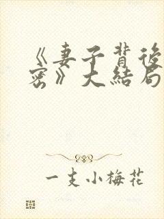 《妻子背后的秘密》大结局