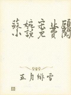 苏婉宋止顾北辰小说免费阅读