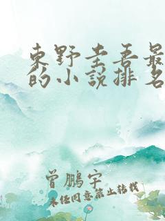 东野圭吾最好看的小说排名