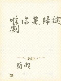 唯你是归途 短剧