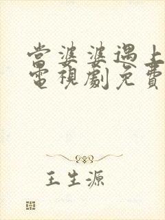 当婆婆遇上的妈电视剧免费全集观看