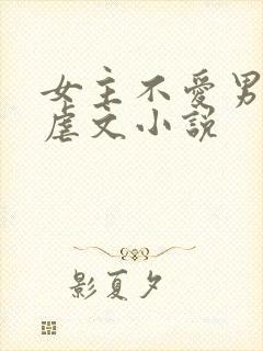 女主不爱男主的虐文小说