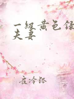 一级黄色录像片夫妻