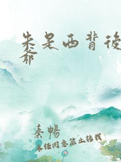 朱是西背后太子爷