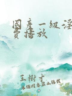 国产一级淫片免费播放