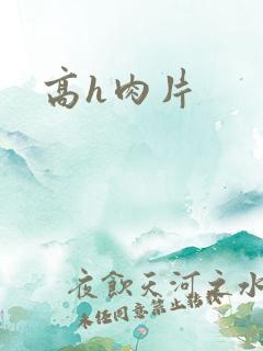 高h肉片