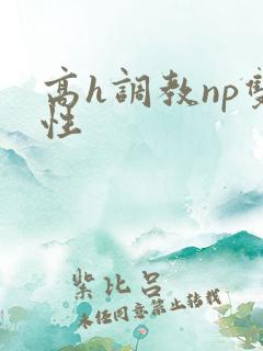 高h调教np双性