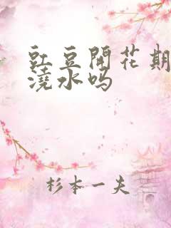 豇豆开花期可以浇水吗