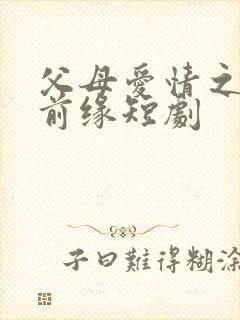 父母爱情之再续前缘短剧