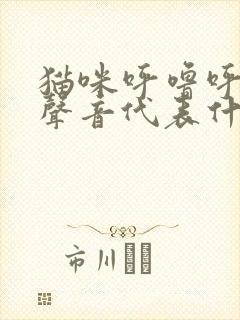 猫咪呼噜呼噜的声音代表什么