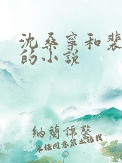 沈桑宁和裴如衍的小说