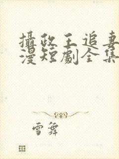 摄政王追妻路漫漫短剧全集免费观看