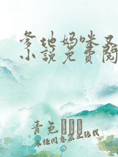 爹地妈咪又跑了小说免费阅读全集