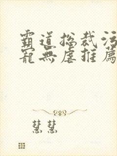霸道总裁污文甜宠无虐推荐