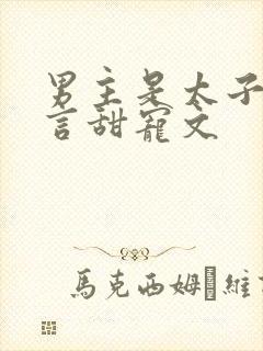男主是太子的古言甜宠文