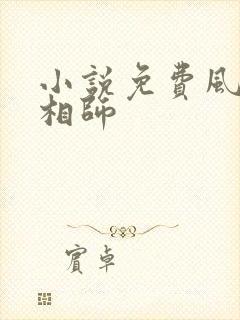 小说免费风水大相师