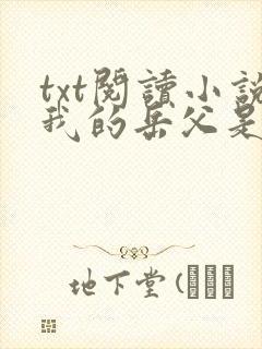 txt阅读小说我的岳父是崇祯