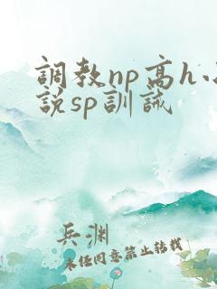 调教np高h小说sp训诫