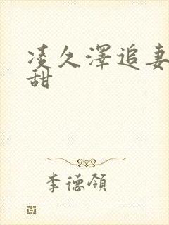凌久泽追妻有点甜