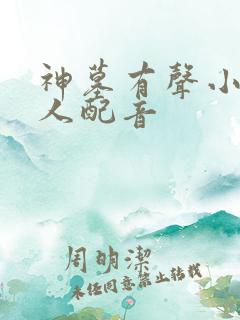 神墓有声小说多人配音