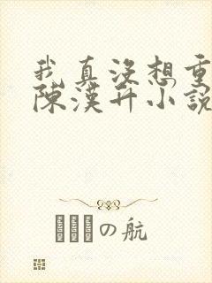 我真没想重生啊陈汉升小说无弹窗