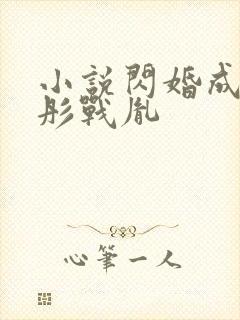 小说闪婚成宠海彤战胤