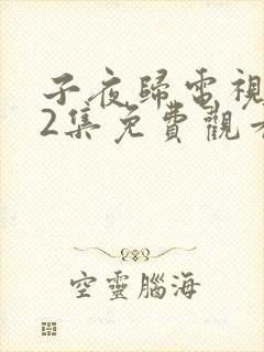 子夜归电视剧12集免费观看全集高清