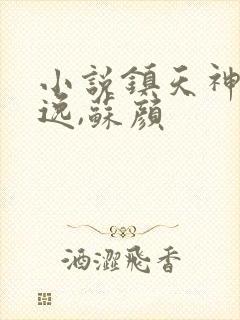 小说镇天神医萧逸,苏颜