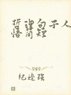 哲理句子人生感悟简短