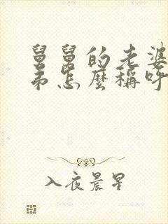 舅舅的老婆的弟弟怎么称呼