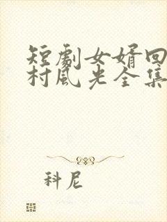 短剧女婿回乡全村风光全集