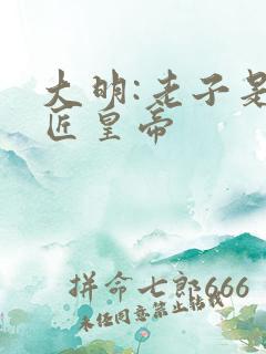 大明:老子是木匠皇帝