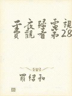 子夜归电视剧免费观看第28集