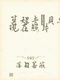 莫妮卡·贝鲁奇现在照片