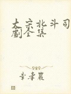 大宋北斗司电视剧全集