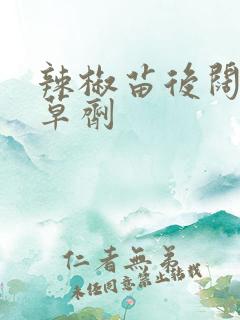 辣椒苗后阔叶除草剂