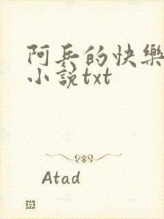 阿兵的快乐生活小说txt