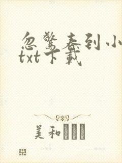 忽惊春到小桃枝txt下载