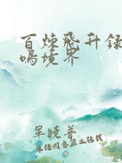 百炼飞升录秦凤鸣境界