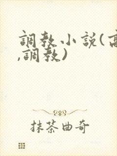 调教小说(高h,调教)