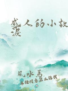 感人的小故事催泪