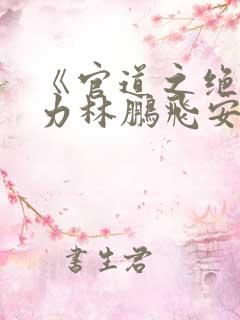 《官道之绝对权力林鹏飞安江》原著小说