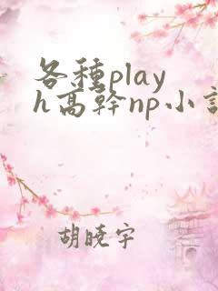 各种play h高干np小说