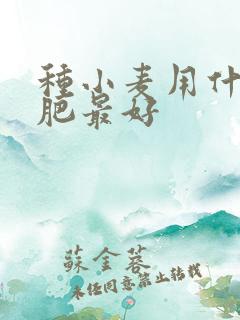 种小麦用什么底肥最好
