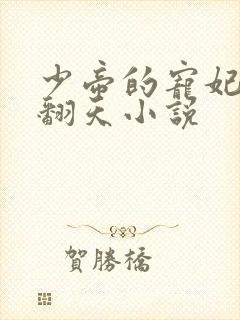 少帝的宠妃弃奴翻天小说