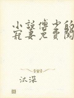 小说傅少的心尖宠妻免费阅读