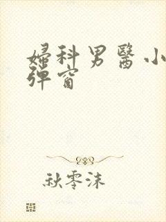 妇科男医小说无弹窗